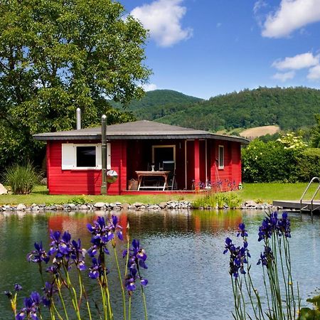 Romantic Wooden Lodge,Sauna,Schwimmteich,Alleinstehend,Absolut Ruhig Hessisch Oldendorf Extérieur photo